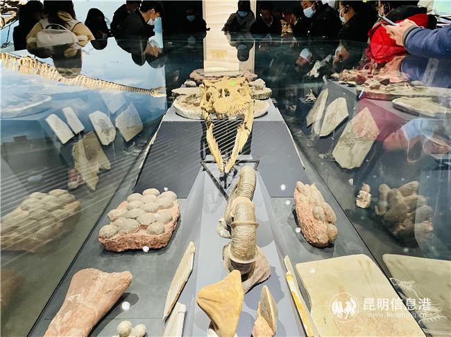 IMG_1330_副本 IMG_1330_副本