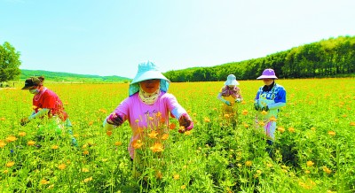 產(chǎn)業(yè)激發(fā)新活力 文化教育增動能 產(chǎn)業(yè)激發(fā)新活力 文化教育增動能