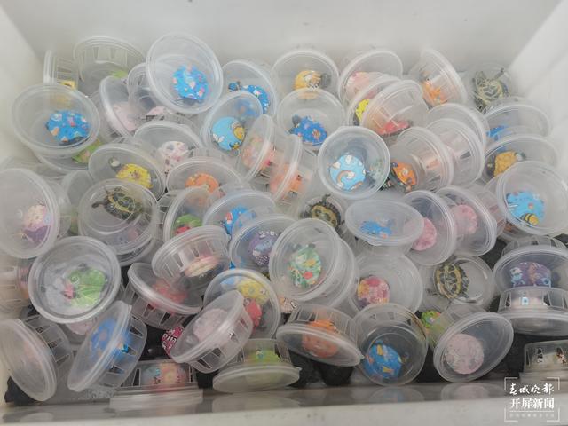 “彩繪龜”月銷幾十萬 專家提醒不要買 春城晚報(bào)-開屏新聞?dòng)浾?劉文波 攝影報(bào)道