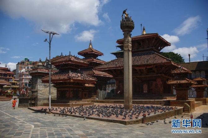 2020年8月30日，鴿子在尼泊爾加德滿都的杜巴廣場上逗留。