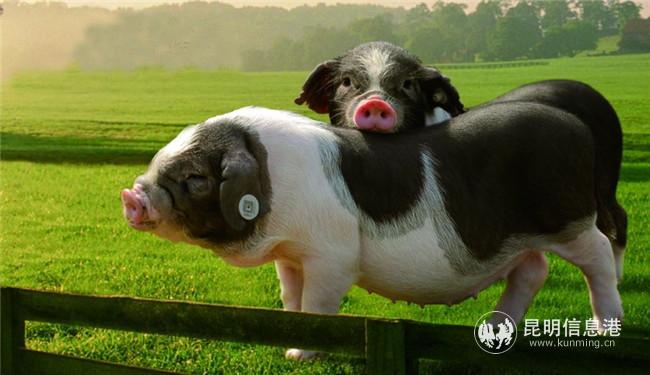 20201210_161336 20201210_161336