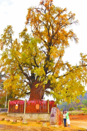 f44d30758a2f213d18521e f44d30758a2f213d18521e