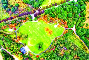 f44d30758a2f213d185220 f44d30758a2f213d185220