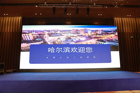 1126846146_16075934629481n 1126846146_16075934629481n