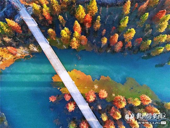 3.小竹炮 《盤(pán)龍江、北京路》 3.小竹炮 《盤(pán)龍江、北京路》