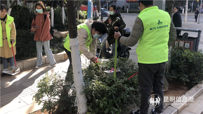 清理綠化帶內(nèi)的垃圾