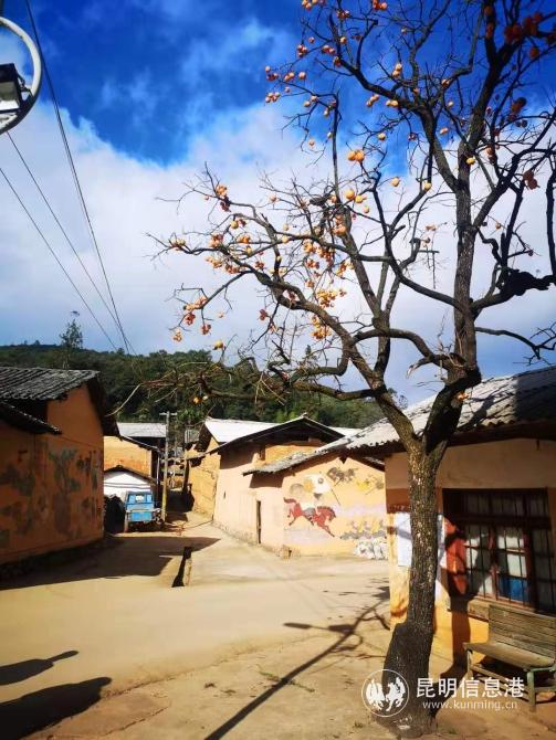 靜臥在藍(lán)天白云之下的質(zhì)樸村莊