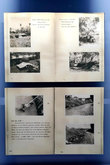 我們?yōu)槭裁床荒芡洠?/></p><p style=