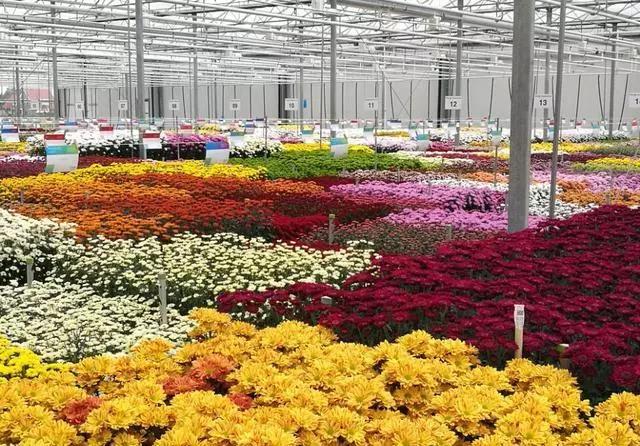 評(píng)估結(jié)果公示！云南2個(gè)園區(qū)擬成國(guó)家農(nóng)業(yè)科技園區(qū)