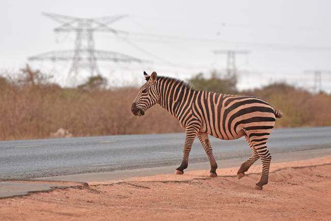 8bf498d0-f8f9-44c9-93ba-5ccf468b9dd3