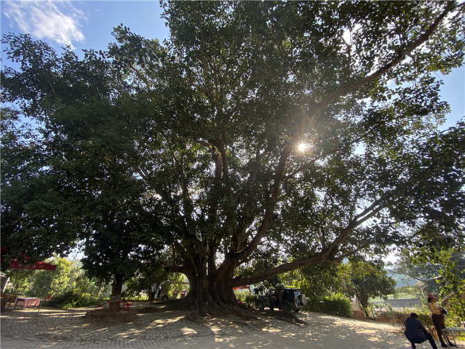 1607677901933604.png 圖片3.png