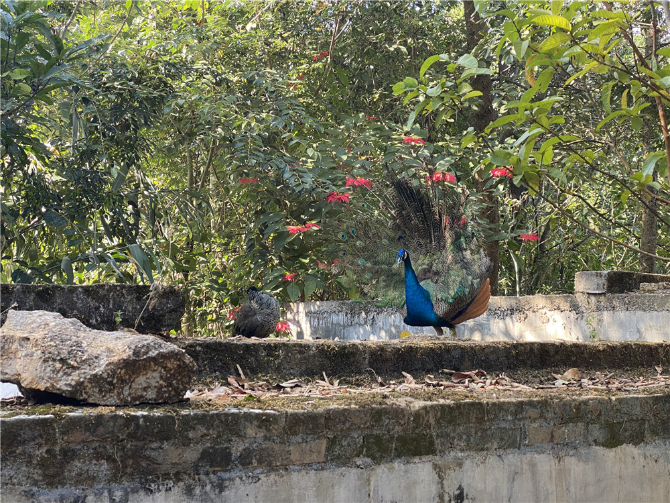 1607677909712356.png 圖片4.png