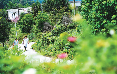 a_523240444432216064 a_523240444432216064