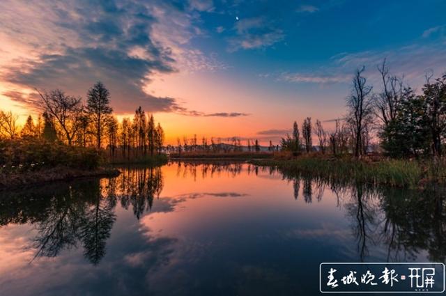 山川秀美、水天一色！晉寧滇池濕地迎來最佳觀賞期，太美！ 楊hi質(zhì)高 攝