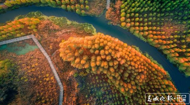 山川秀美、水天一色！晉寧滇池濕地迎來最佳觀賞期，太美！ 楊hi質(zhì)高 攝
