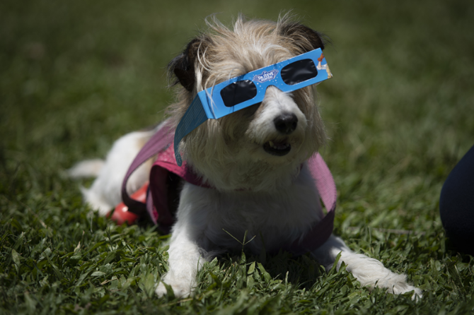 1126865961_16080796249441n 1126865961_16080796249441n