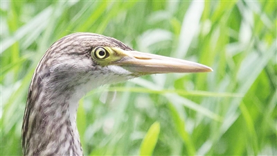 劉松森攝于百花潭公園