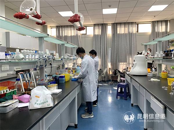 實(shí)驗(yàn)室工作人員在做檢測。記者孫紅亮攝