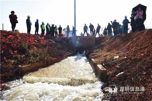石林灌區(qū)通水 石林灌區(qū)通水
