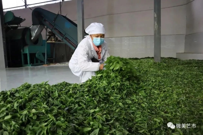 708313_670x670 708313_670x670