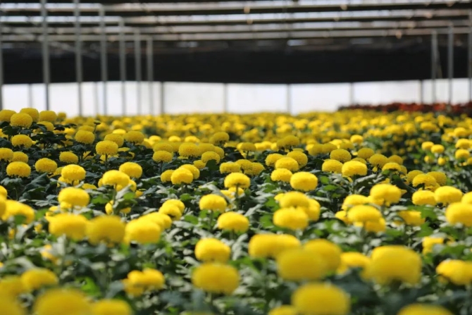 708315_670x670 708315_670x670