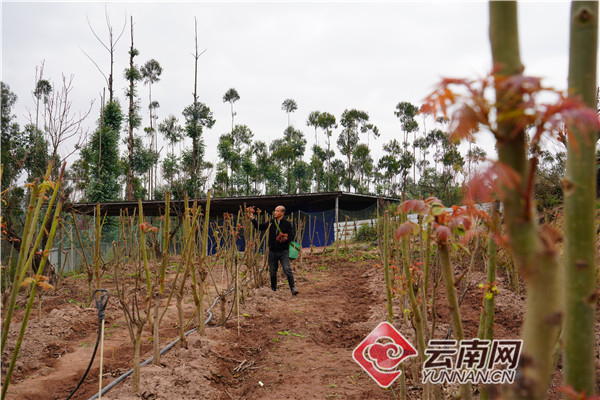 00302980698_147dd3e0 00302980698_147dd3e0