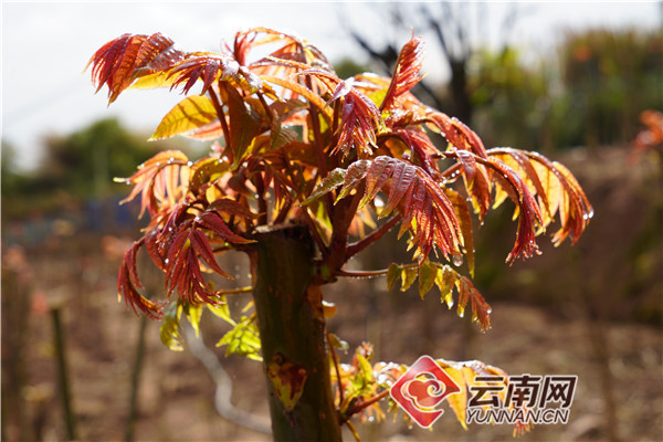 00302980699_fa53afad 00302980699_fa53afad