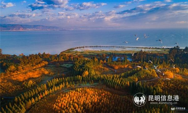 晉寧區(qū)榮獲“中國天然氧吧”稱號。宋光旭攝