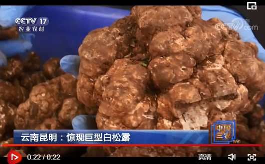 點(diǎn)擊觀看視頻 點(diǎn)擊觀看視頻