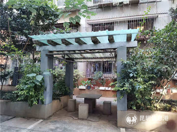 整改后的休息亭1 整改后的休息亭1