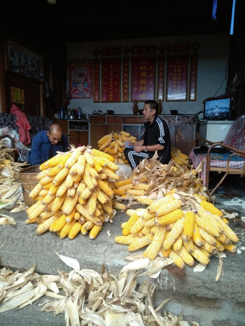 f24e0dc690a988015185368811cbc47 f24e0dc690a988015185368811cbc47