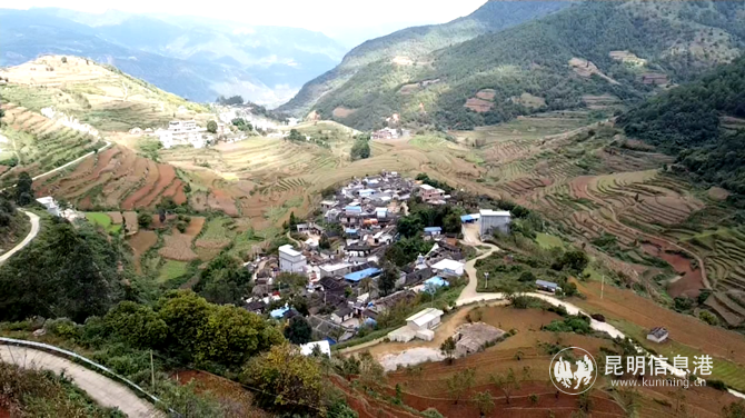 微信截圖_20201221164156