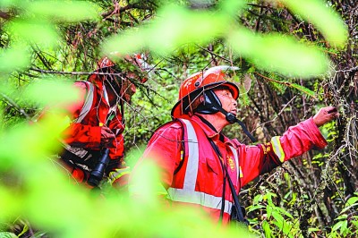 巡山穿林，新時(shí)代護(hù)林員的奮斗與快樂(lè)