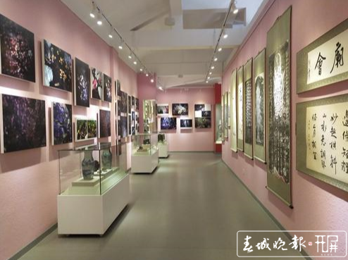 昆明黑龍?zhí)豆珗@梅花節(jié)（春城晚報(bào)-開屏新聞?dòng)浾?左學(xué)佳 攝影報(bào)道）