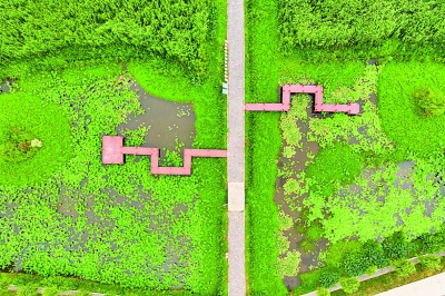 世界自然基金會全球總干事：中國為世界提供了綠色轉(zhuǎn)型方案