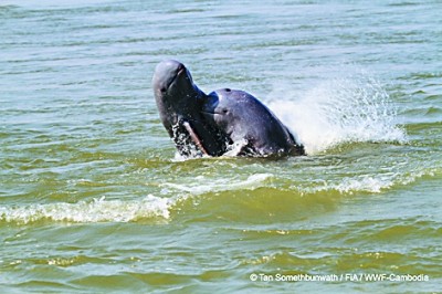 世界自然基金會全球總干事：中國為世界提供了綠色轉(zhuǎn)型方案