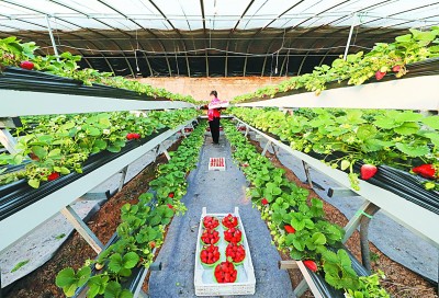 我們持續(xù)奮斗，創(chuàng)造人類減貧史上的奇跡