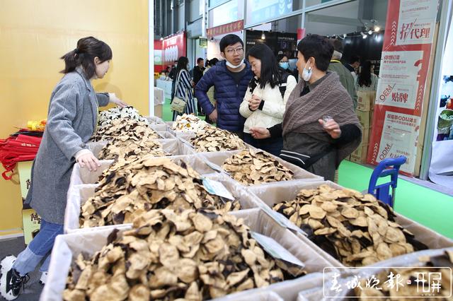 2020昆明茶博會(huì)開幕 記者：高偉 攝