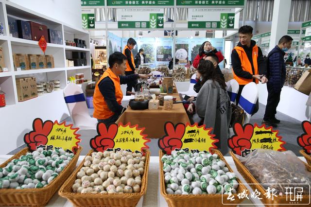 2020昆明茶博會(huì)開幕 記者：高偉 攝