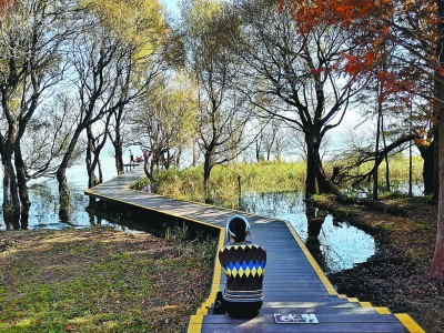 一條生態(tài)廊道，讓洱海發(fā)生了哪些變化