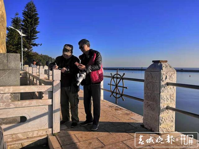 紅嘴鷗 昆明鳥類協(xié)會(huì)供圖