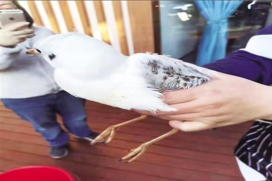 QQ截圖20201228093158 QQ截圖20201228093158