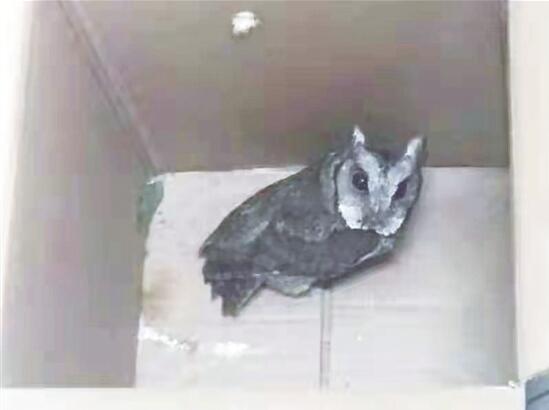 QQ截圖20201228093213 QQ截圖20201228093213