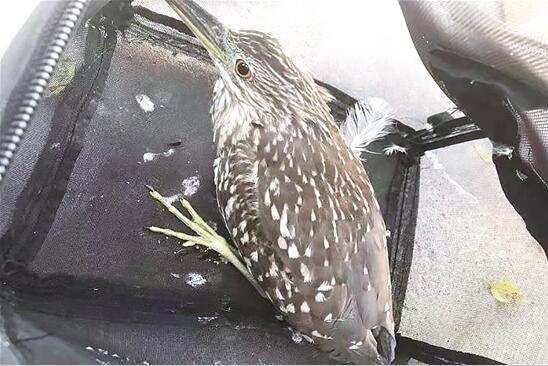 QQ截圖20201228093223 QQ截圖20201228093223