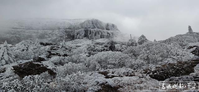 5G加速融入社會（受訪者供圖）