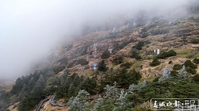 5G加速融入社會（受訪者供圖）