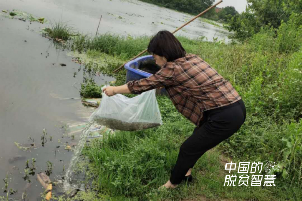 (富塘村委會張吉剛供圖)