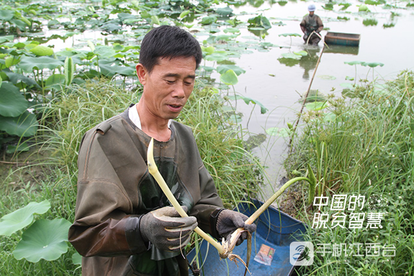 (江西網(wǎng)絡(luò)臺記者周學(xué)軍攝)