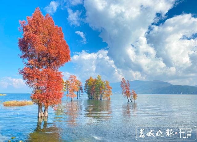 大理古城旅游度假區(qū)