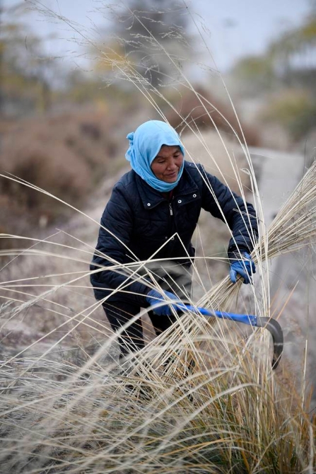 脫貧路上“她”力量丨攢勁
